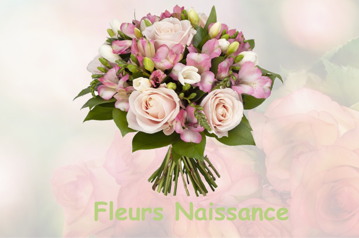 fleurs naissance FLAUMONT-WAUDRECHIES
