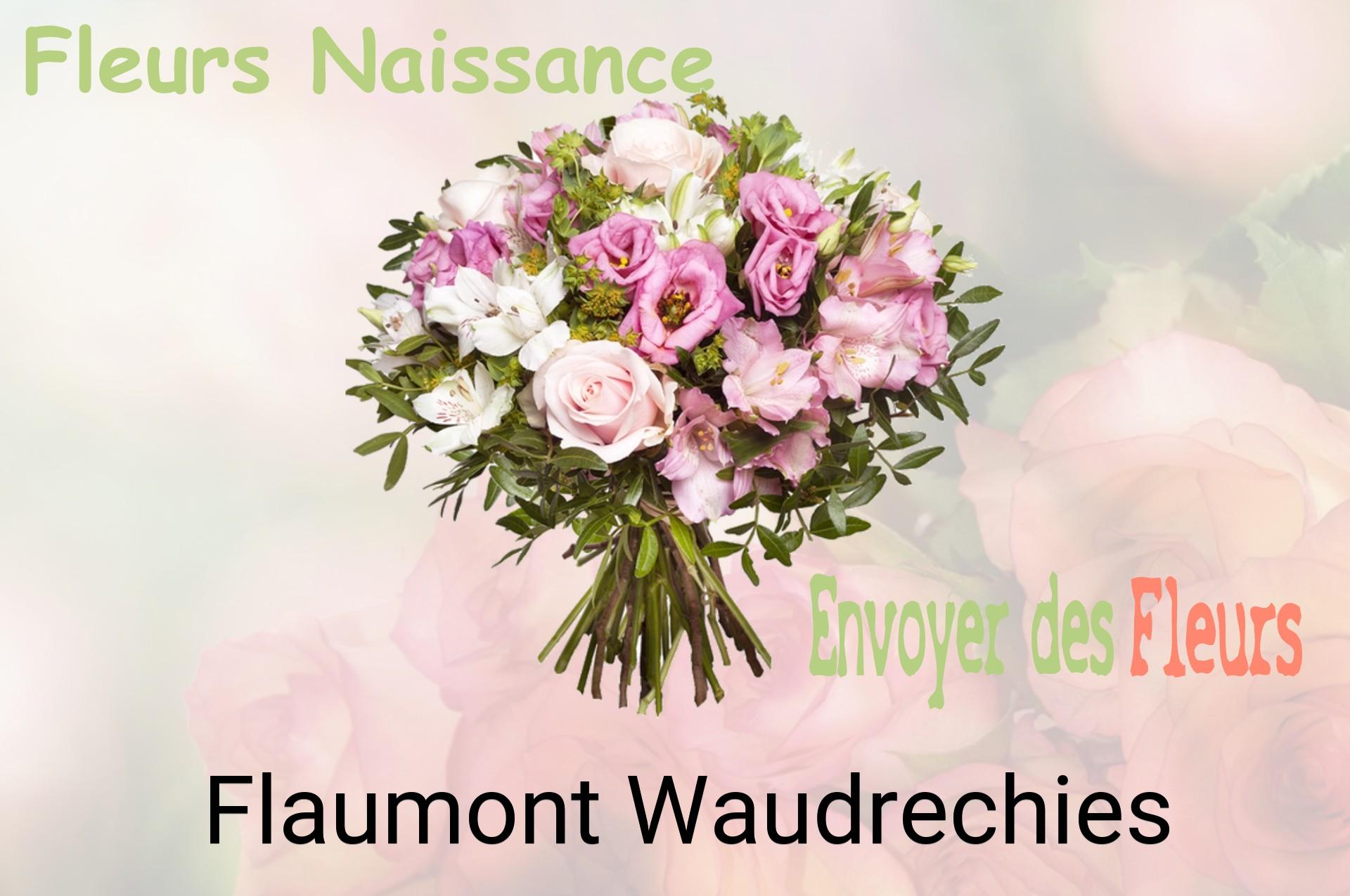 Bouquet de fleurs de naissance livré à Flaumont-Waudrechies